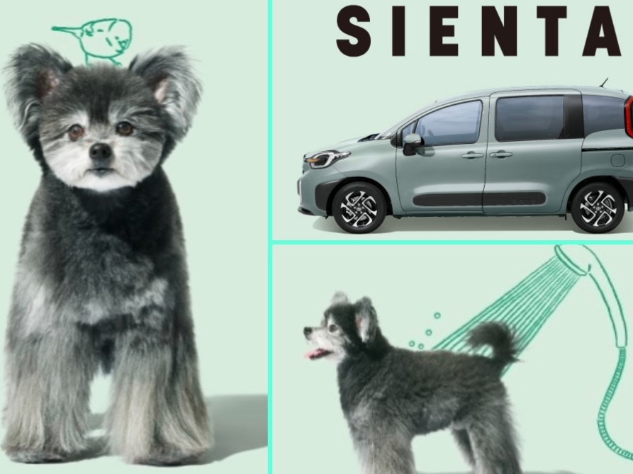 犬2匹とトヨタ車のシエンタ